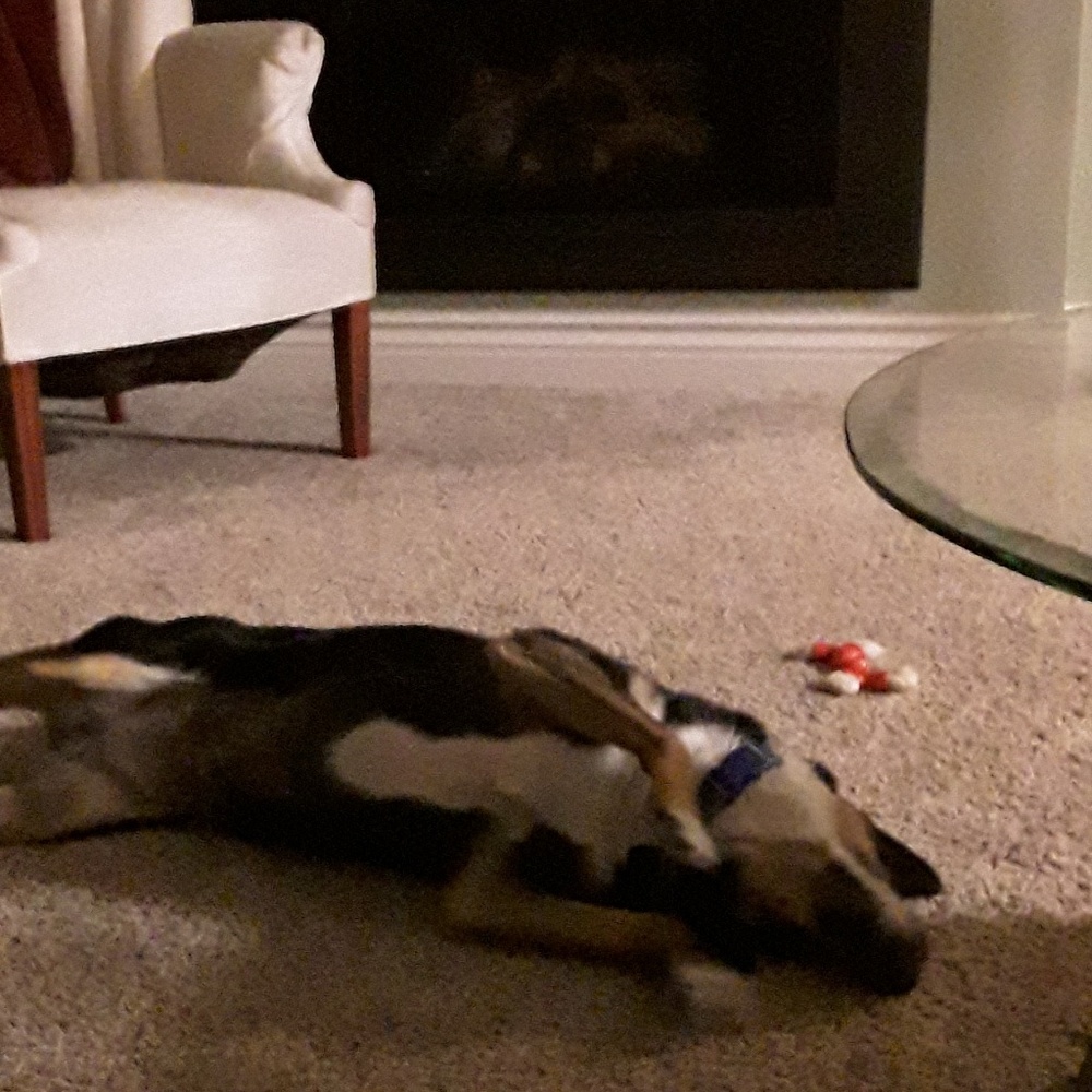 Meet your Posher, Katie